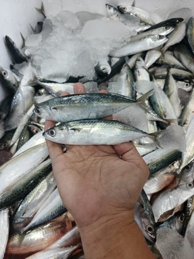Banyar Kecil