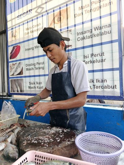 Jasa Pengerjaan ikan - Alamsyah