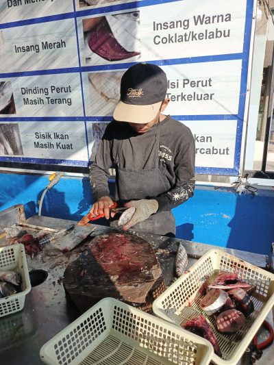 Jasa Pengerjaan ikan - Muhammad Said B