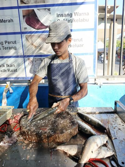 Jasa Pengerjaan Ikan - Awal