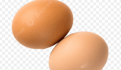 Telur