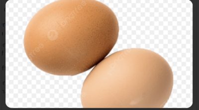 Telur