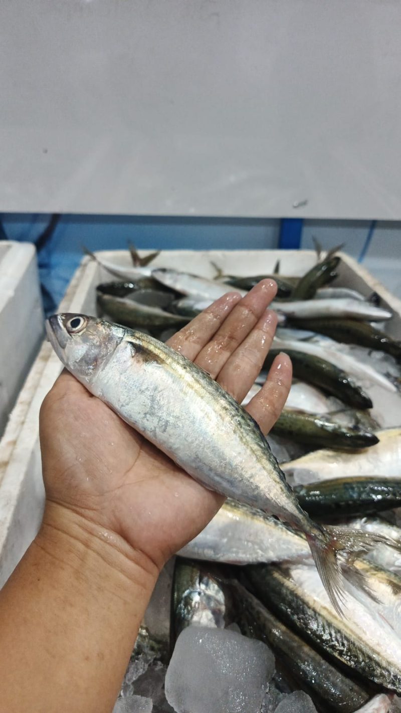 Banyar Sedang