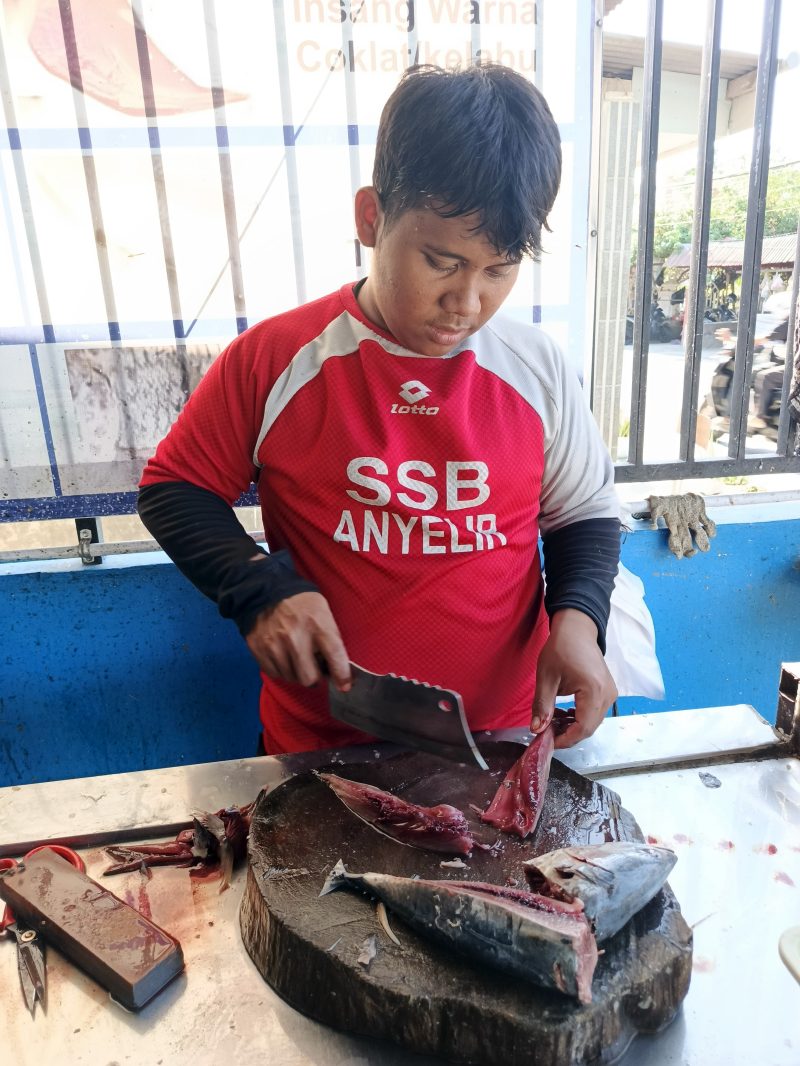 Jasa Pengerjaan Ikan - Sandi