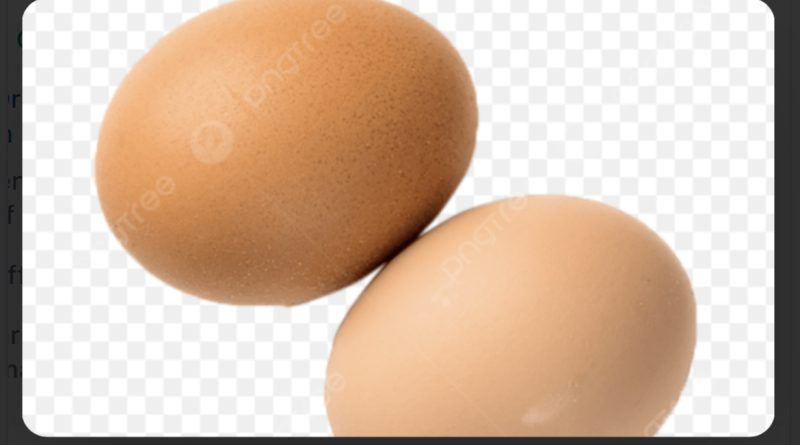 Telur
