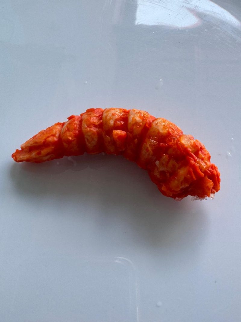 Udang