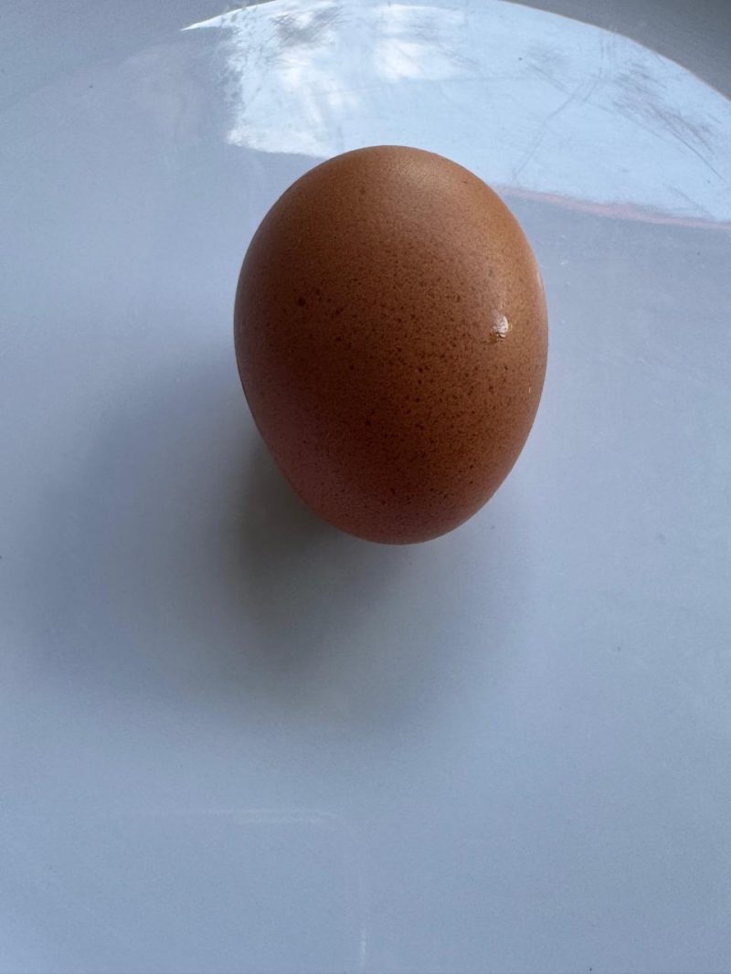 Telur